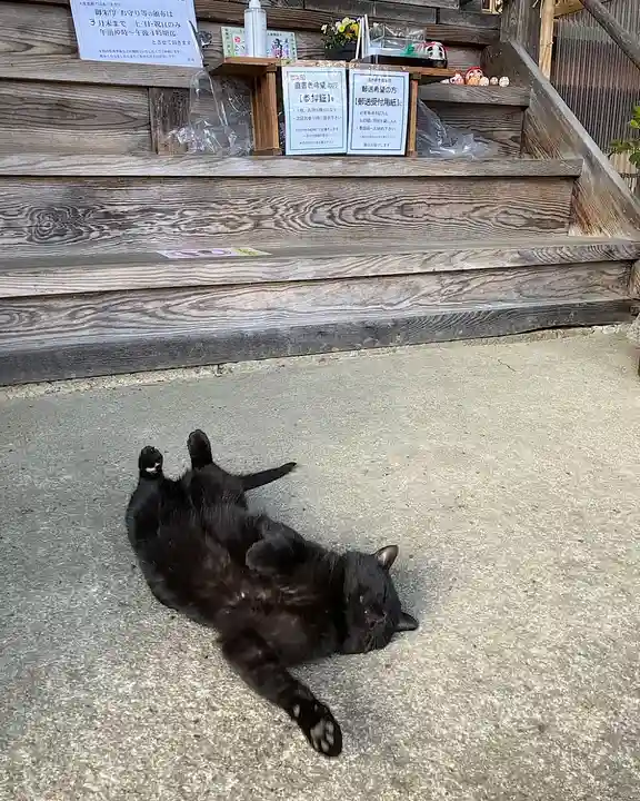 高司神社〜むすびの神の鎮まる社〜(福島県)