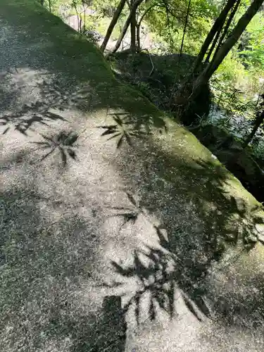 飛瀧神社（熊野那智大社別宮）(和歌山県)