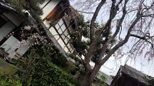 祐正寺(京都府)