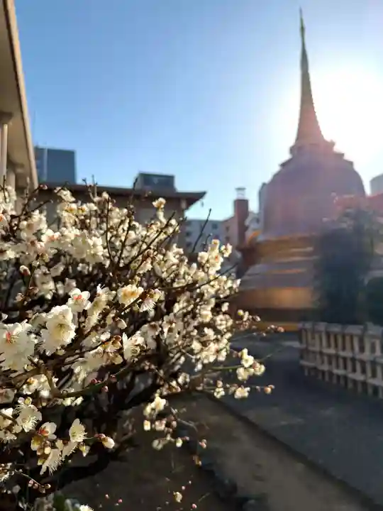 福王山 慈眼寺(東京都)