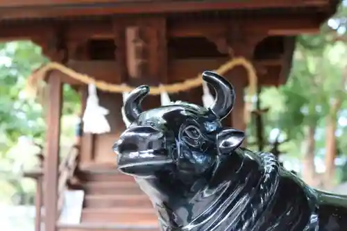 三津厳島神社の狛犬