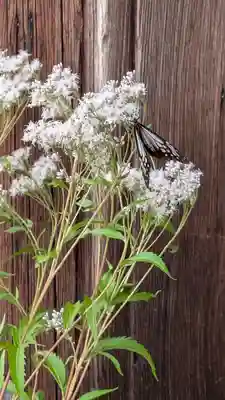 真正極楽寺(真如堂)(京都府)