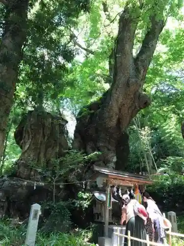 來宮神社の建物その他