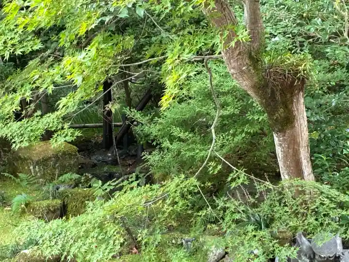 二尊院(京都府)