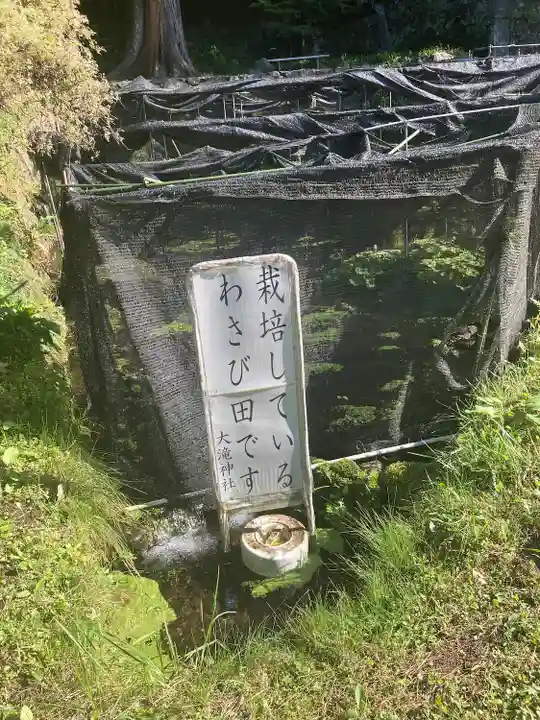 大滝神社(山梨県)