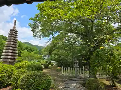 世尊寺(奈良県)
