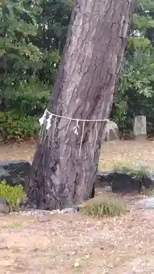 八重垣神社(宮城県)