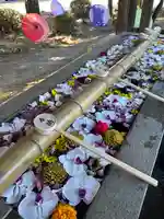 群馬県護国神社(群馬県)