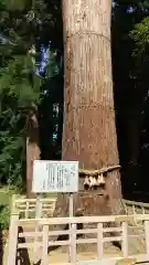 鹿島神社の建物その他