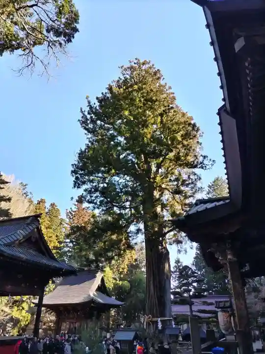 北口本宮冨士浅間神社(山梨県)