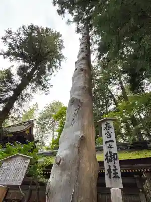 諏訪大社下社春宮(長野県)