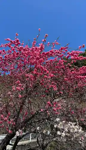 国福大神社(山梨県)