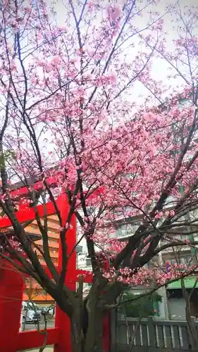 彌彦神社　(伊夜日子神社)の自然