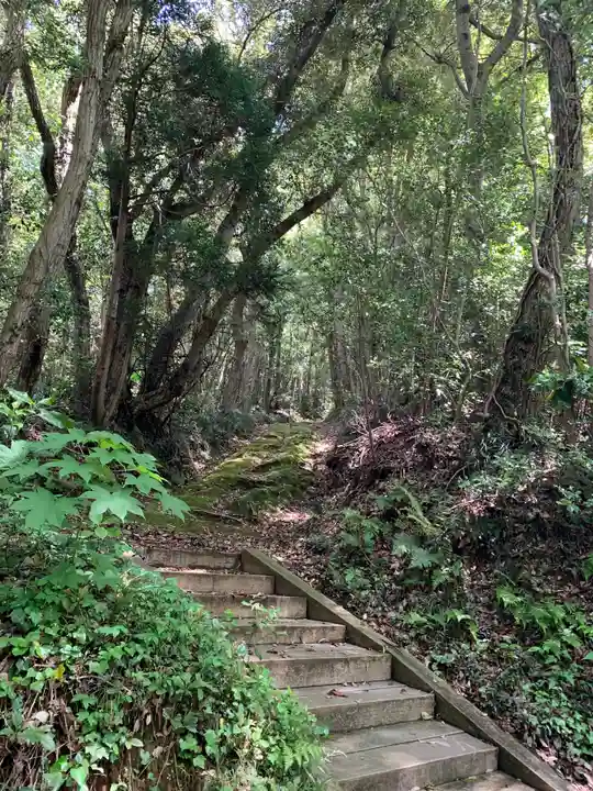 大杉神社(千葉県)
