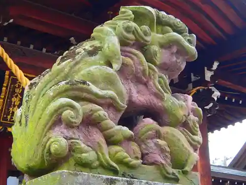 行田八幡神社の狛犬