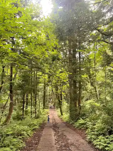 戸隠神社奥社(長野県)