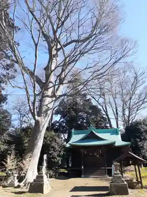 酒門神社(茨城県)
