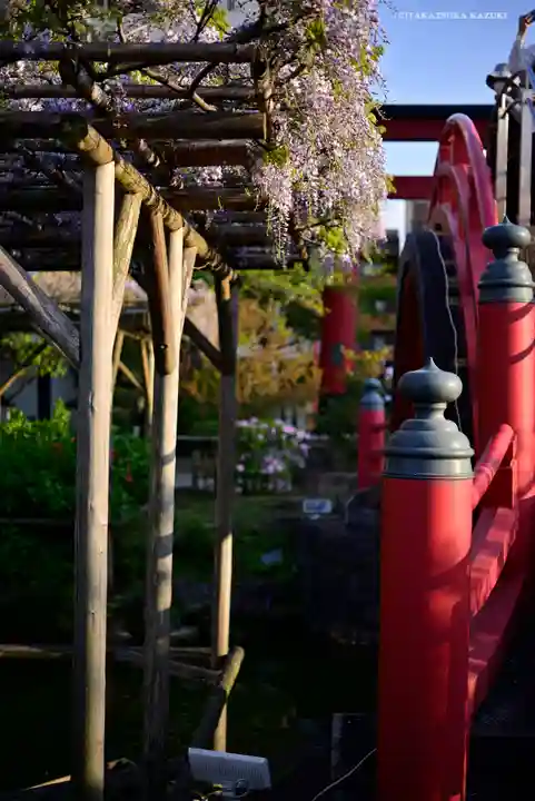 亀戸天神社の庭園