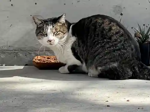 仙波東照宮(埼玉県)