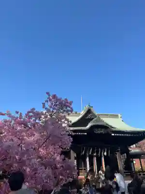 桜神宮(東京都)