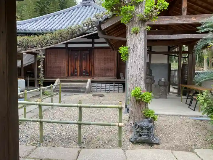 円福寺の{uncategorized: "未分類", other: "その他", undefined: "問題あり", building: "その他建物", grave: "お墓", sacred_gate: "鳥居", guardian: "狛犬", statue: "像", buddha: "仏像", history: "歴史", nature: "自然", garden: "庭園", animal: "動物", pagoda: "塔", temizu: "手水舎", mountain_gate: "山門・神門", sanctuary: "本殿・本堂", subordinate: "末社・摂社", art: "芸術", scenery: "景色", jizo: "地蔵", ema: "絵馬", goshuin: "御朱印", omikuji: "おみくじ", items: "授与品その他", amulet: "お守り", goshuincho: "御朱印帳", eats: "食事", festival: "お祭り", votive_dance: "神楽", shichigosan: "七五三参", wedding: "結婚式", experience: "体験その他", initially: "初詣", around: "周辺", anti_infection: "感染症対策"}