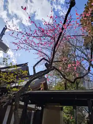 愛宕神社(東京都)