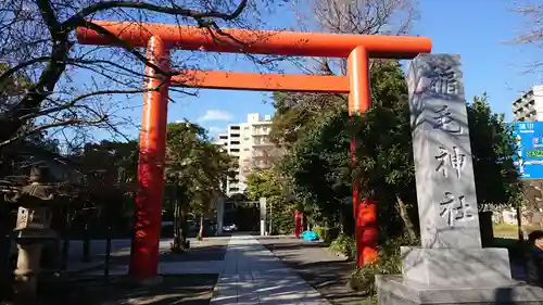 稲毛神社の鳥居