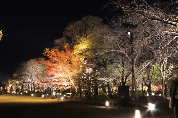 東寺(教王護国寺)(京都府)