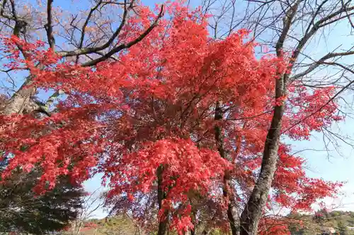 長屋神社の庭園