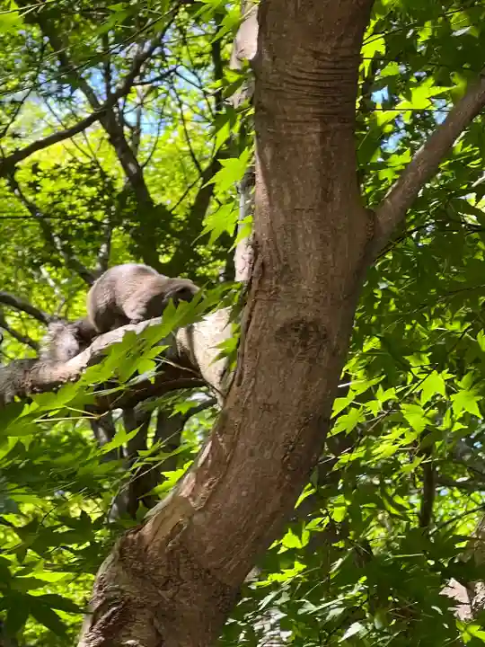 浄智寺(神奈川県)