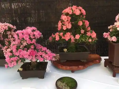 大宮八幡宮の庭園