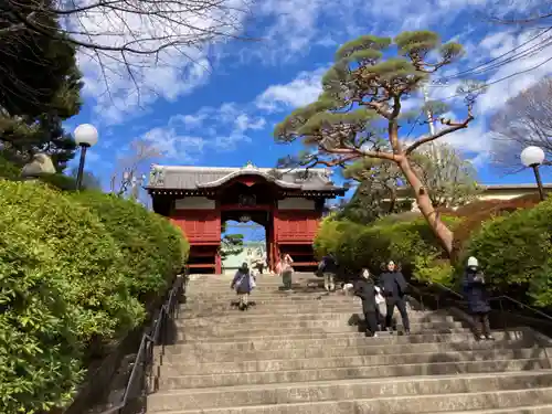 護国寺の山門