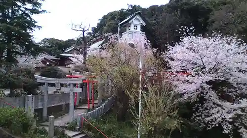 光雲神社(福岡県)