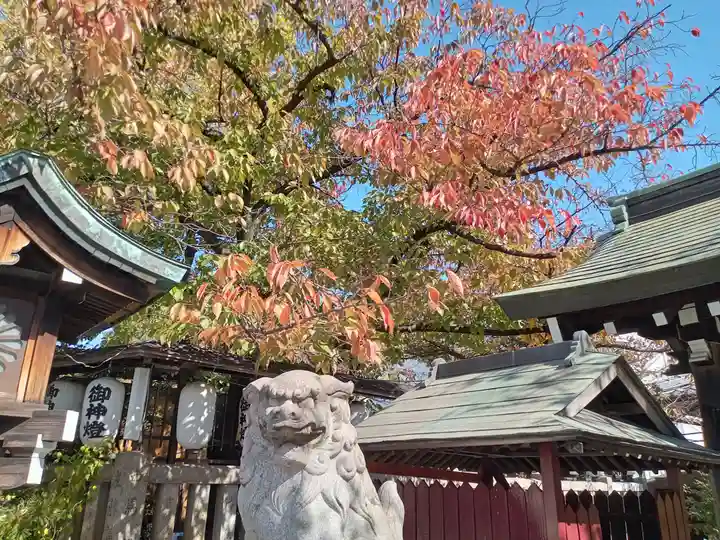 阿部野神社の狛犬