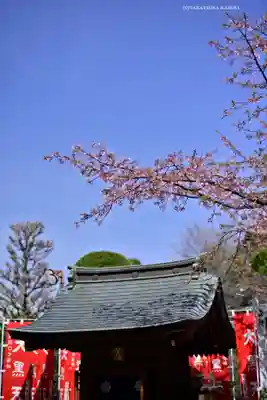 密藏院(埼玉県)