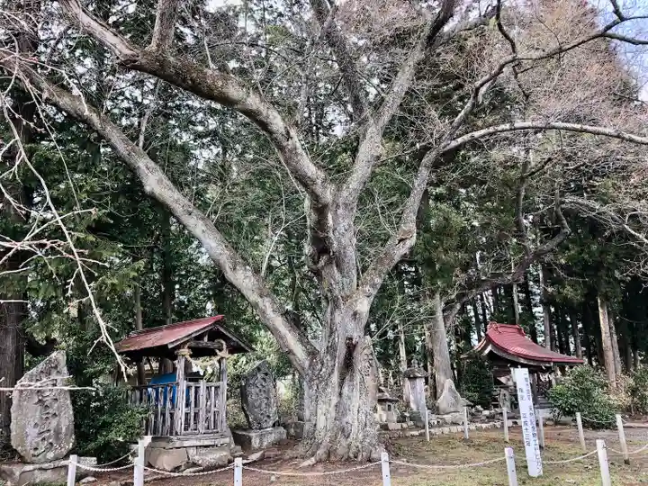 温泉神社(岩手県)