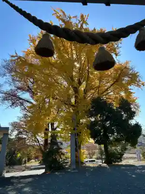 菟足神社(愛知県)