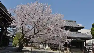 本法寺のその他建物