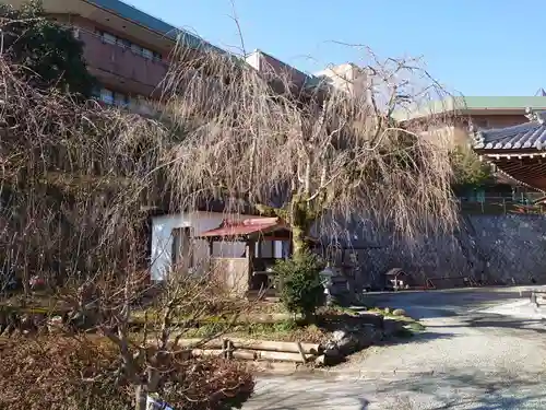 泉蔵寺の庭園