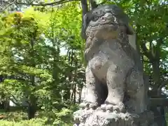 丘珠神社の狛犬