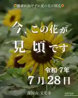 宝光寺(北海道)