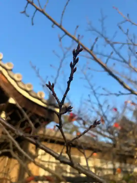 一乗院(和歌山県)