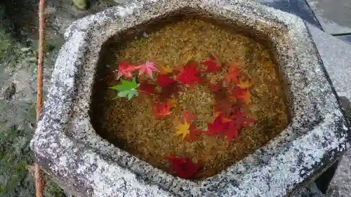 東福禅寺（東福寺）の{uncategorized: "未分類", other: "その他", undefined: "問題あり", building: "その他建物", grave: "お墓", sacred_gate: "鳥居", guardian: "狛犬", statue: "像", buddha: "仏像", history: "歴史", nature: "自然", garden: "庭園", animal: "動物", pagoda: "塔", temizu: "手水舎", mountain_gate: "山門・神門", sanctuary: "本殿・本堂", subordinate: "末社・摂社", art: "芸術", scenery: "景色", jizo: "地蔵", ema: "絵馬", goshuin: "御朱印", omikuji: "おみくじ", items: "授与品その他", amulet: "お守り", goshuincho: "御朱印帳", eats: "食事", festival: "お祭り", votive_dance: "神楽", shichigosan: "七五三参", wedding: "結婚式", experience: "体験その他", initially: "初詣", around: "周辺", anti_infection: "感染症対策"}