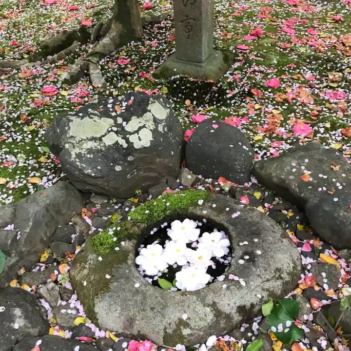 霊鑑寺門跡のその他建物