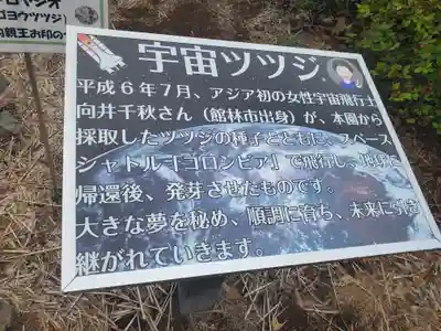 善長寺(群馬県)