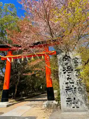 宇治上神社の鳥居