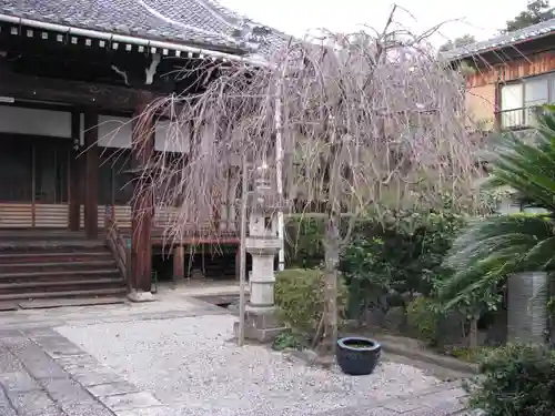 光徳寺(滋賀県)