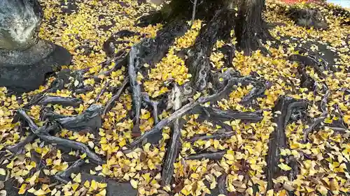 熊野神社(宮城県)