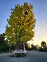 健軍神社(熊本県)