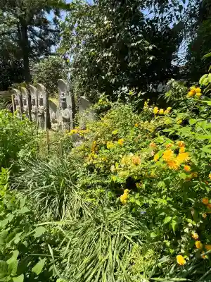般若寺 ❁﻿コスモス寺❁(奈良県)